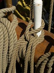 080508_Roald_Amundsen 429